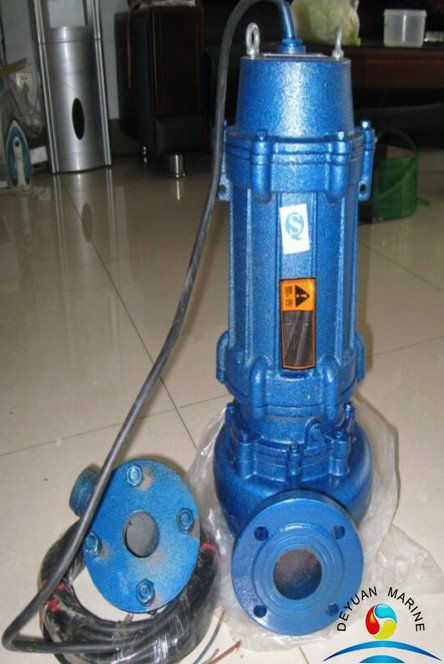 WQ(QW) Series Submersible Pump From China Deyuan Marine 