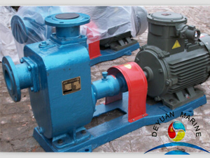 Marine Cast Iron Centrifugal Water Pump With Electric Motor 380V