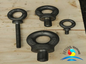 BS4278 Forged Collared Galvanised Eyebolts for Crane Lifting