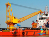 Offshore Pedestal Transporter Crane Use For Fixed Point Transport 