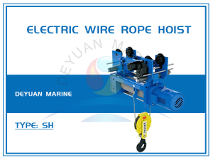 SH Type Electric Wire Rope Hoist (1/2 Rope Reeving)