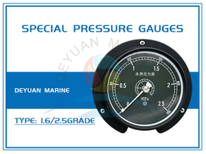 Special Pressure Gauges