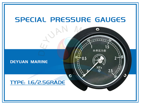 Special Pressure Gauges