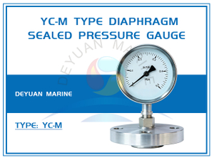 YC-M Type Diaphragm Sealed Pressure Gauge