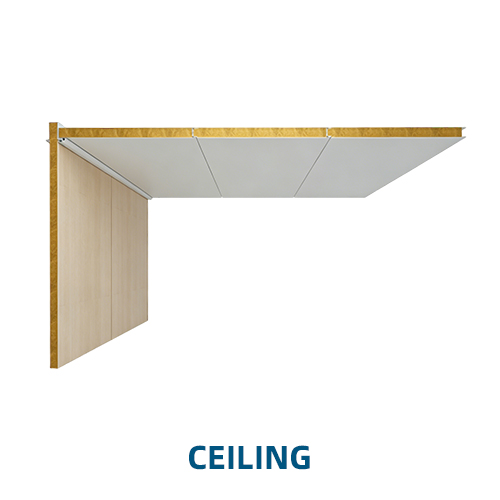 Ceiling Panel