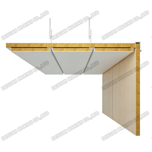 Type D Ceiling Panel