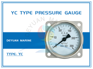 YC Type Pressure Gauge