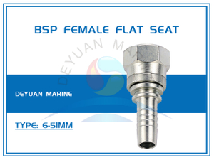 BSP Female Flat Seat