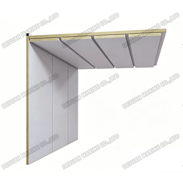 Type D Ceiling Panel