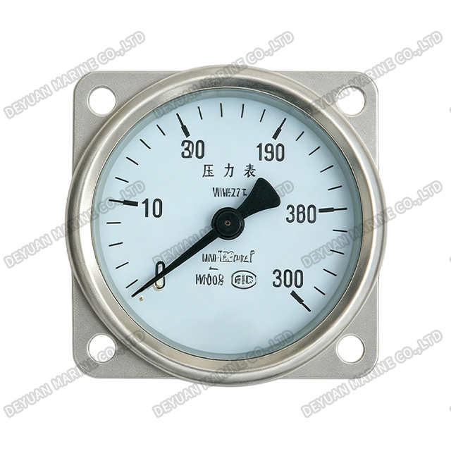 YC Type Pressure Gauge