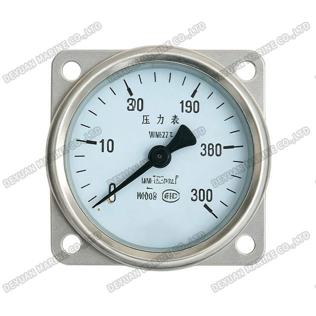 YC Type Pressure Gauge