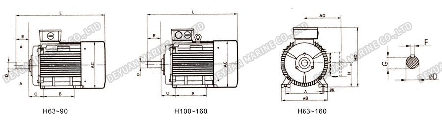 YS-H Series Marine Three-Phase Asynchronous Motor-DEYUAN MARINE2