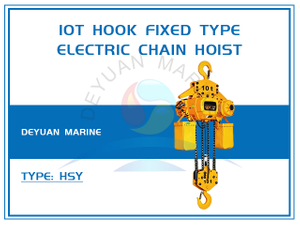 10T Hook Fixed Type Electric Chain Hoist