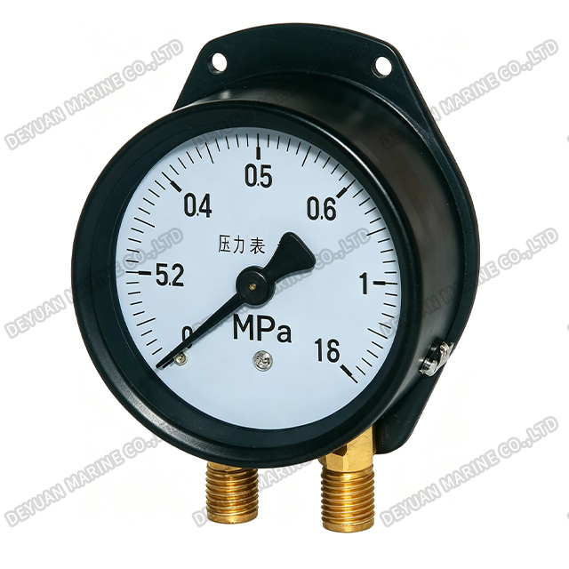 Special Pressure Gauges
