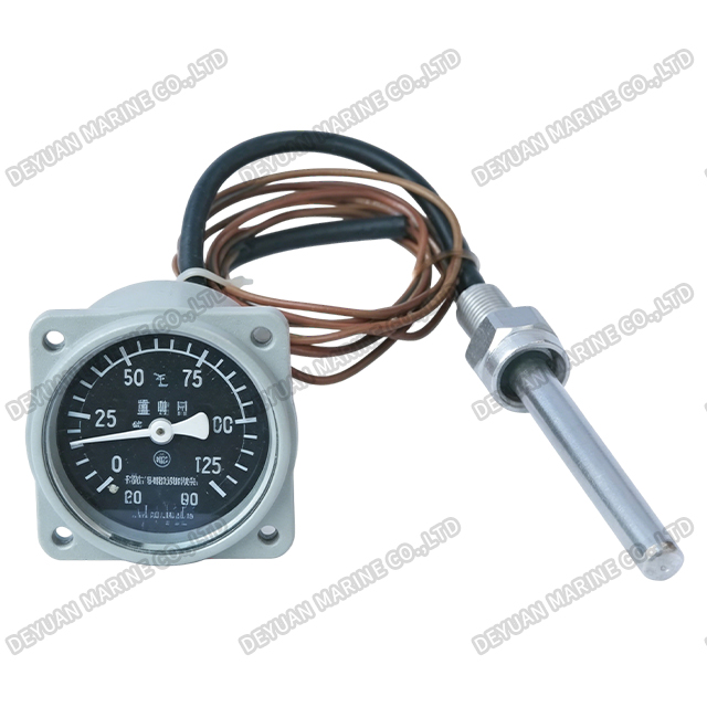 WYZ Pressure Type Thermometer