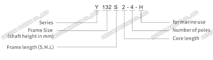 Y-H Series Three Phase Marine Motor-DEYUAN MARINE5