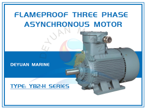 YB2-H Series Flameproof Three Phase Asynchronous Motor