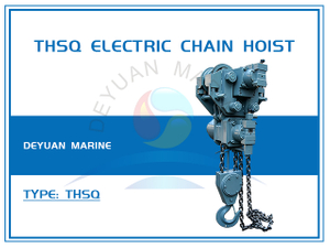 THSQ Type Electric Chain Hoist