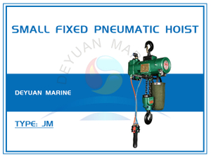 Small Fixed Type Pneumatic Hoist
