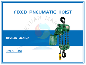 Fixed Pneumatic Hoist (WLL3-12T) 