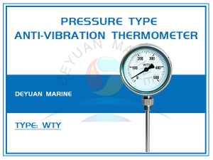 WTY Pressure Type Anti-Vibration Thermometer