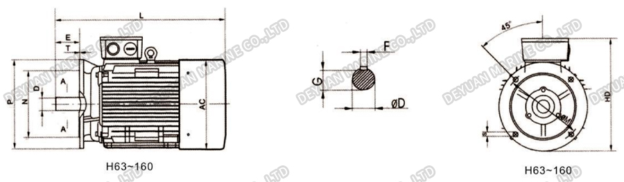 YS-H Series Marine Three-Phase Asynchronous Motor-DEYUAN MARINE4