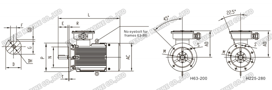 YB2-H Series Flameproof Three Phase Asynchronous Motor-DEYUAN MARINE7