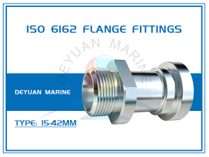 ISO 6162 Flange Fittings 