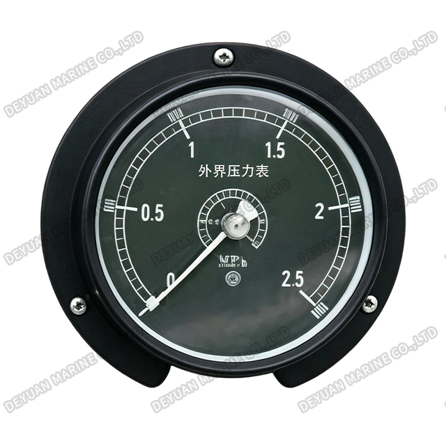 Special Pressure Gauges