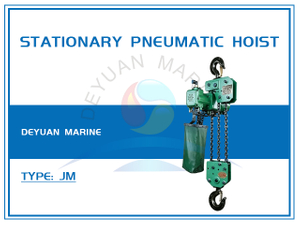 Stationary Pneumatic Hoist (WLL1-3T)