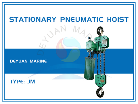 Stationary Pneumatic Hoist (WLL1-3T)