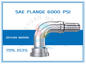 SAE Flange 6000Psi 官网