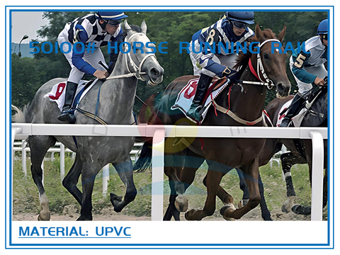 50100# Horse Running Rail