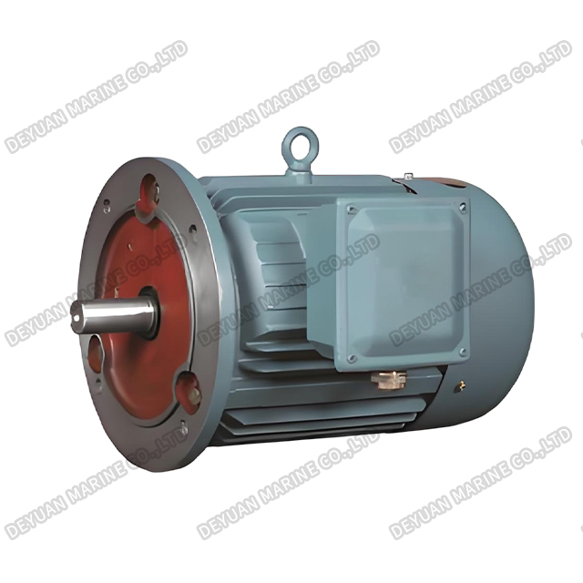 Y-H Series Three Phase Marine Motor