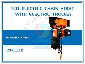TCD Electric Chain Hoist with Electric Trolley(0.25t-5t) 