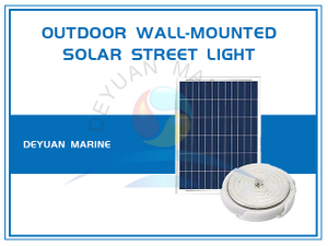 D Series Outdoor Wall-mounted Solar Street Light