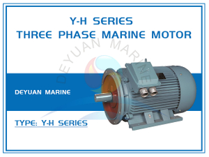 Y-H Series Three Phase Marine Motor