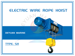 SH Type Electric Wire Rope Hoist (1/4 Rope Reeving)