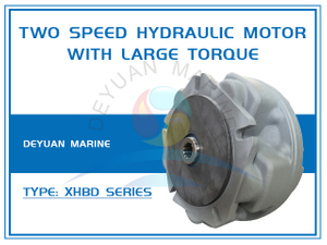 Two Speed Hydraulic Motor With Large Torque