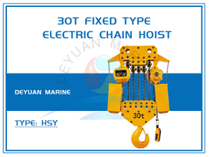 30t Fixed Type Electric Chain Hoist
