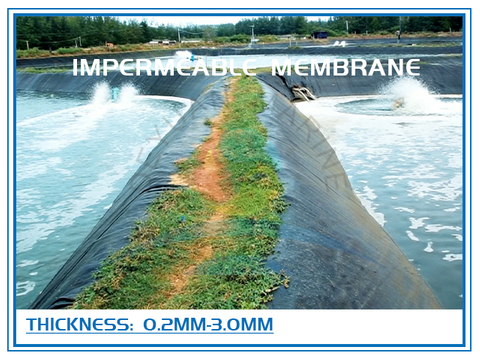 Culture Impermeable Membrane