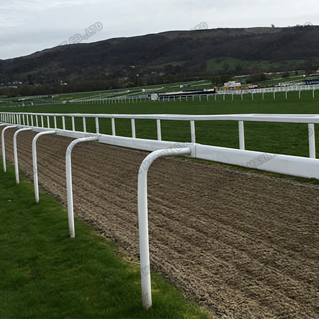 50100# Horse Running Rail